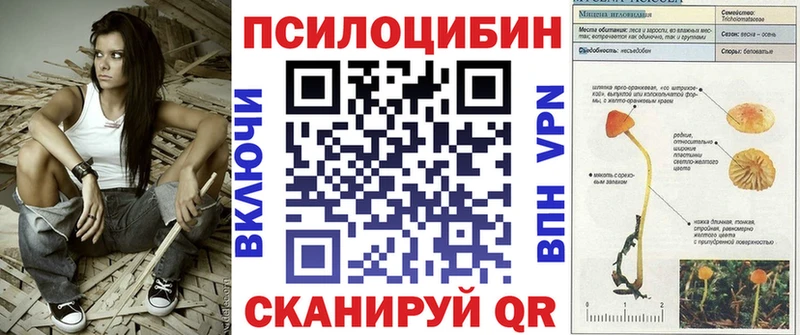 Галлюциногенные грибы ЛСД  Купить закладки  Фатеж 